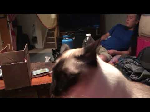 Alash and Robert McLaughlin - FOR MY SON - Live at Casa de Shu - throat singing TUVA