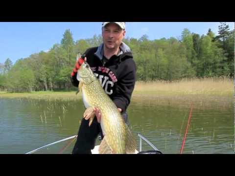 Kalassa Tukholman saaristossa