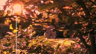 Outro (AKA: I&#39;m a fool to want you) - M. Ward