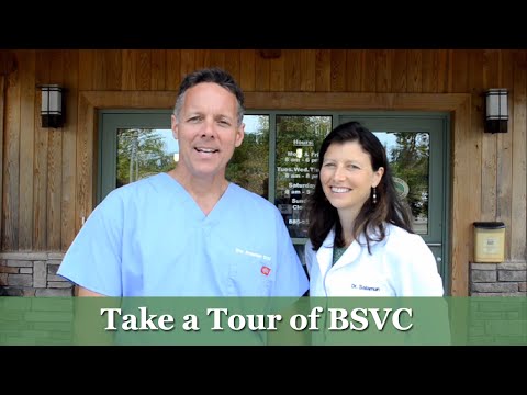 BSVC Informational Video