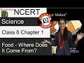 NCERT Class 6 Science Chapter 1 Food Where Does It Come From NSO NSTSE Doorsteptutor Com