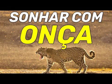 DREAMING ABOUT A JAGUAR: What does it mean to dream about a jaguar? Find out!