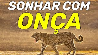SONHAR COM ONÇA: Qual o significado de sonhar com onça Entenda!