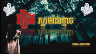 សម្រាយរឿងខ្មោច - រឿង ស្មាមដៃខ្មោច​ #សម្រាយរឿង​ #tiktok #facebook #youtube