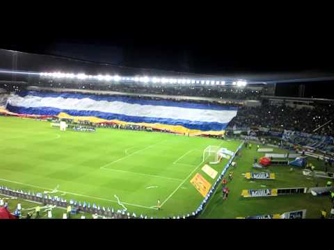 "Millonarios la hinchada mas grande" Barra: Comandos Azules • Club: Millonarios