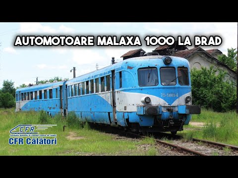 Bătrânele automotoare Malaxa 1000 sosind și plecând din gara Brad [4K | 2021]