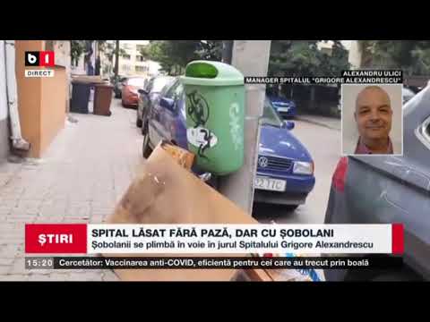 STIRI B1 ORA 15.00 DIN 1 IULIE 2021 - TULPINA DELTA, TRANSMITERE COMUNITARA IN JUDETUL ARGES