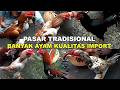 MADURA Chicken Market Review Lots Of Good Chickens At Low Prices And Imported Quality