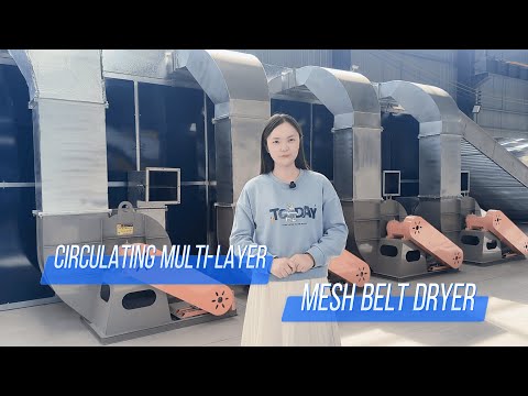 Circulating Multilayer Mesh Belt Dryer