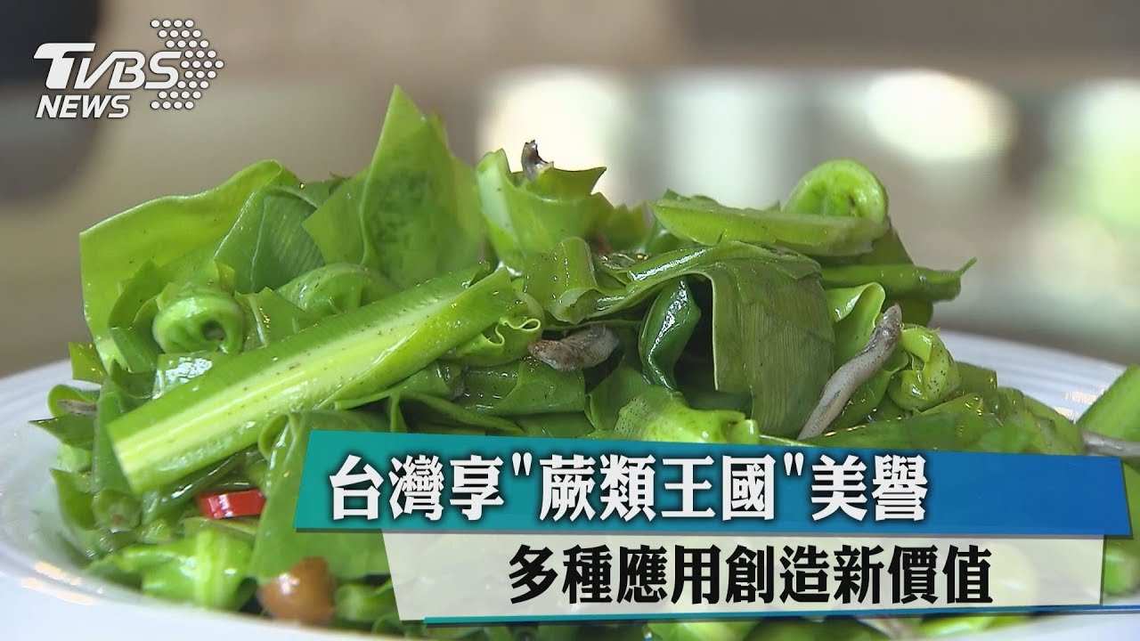 台灣享蕨類王國美譽 多種應用創造新價值
