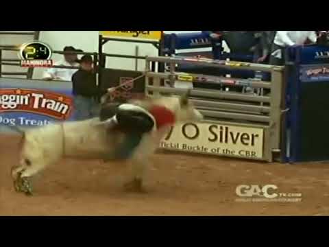 Shakedown bucks Luke Kelley - 08 CBR Finals