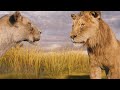 Mufasa The Lion King Mufasa And Taka Are Sent Off I 4K Ultra HD