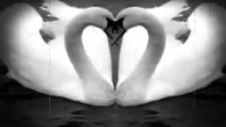 096__ART OF NOISE MOMENTS IN LOVE THE ORIGINAL