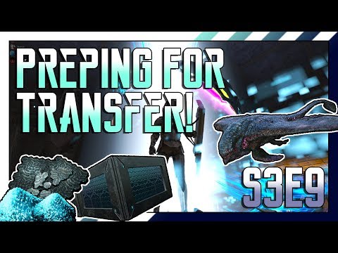 ARK MTS Beginners: S3E9 - PREPARING FOR TRANSFER!