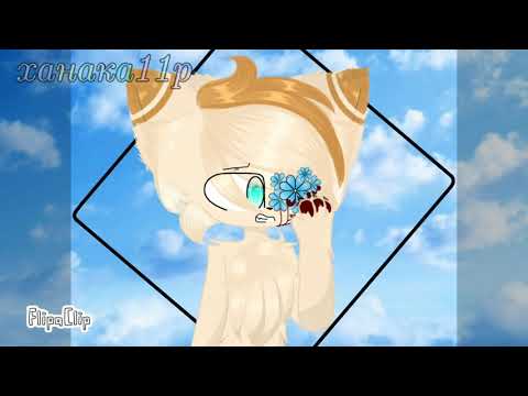 Paradise meme/for Cat Bird