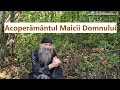 Acoperământul Maicii Domnului P Pimen Vlad