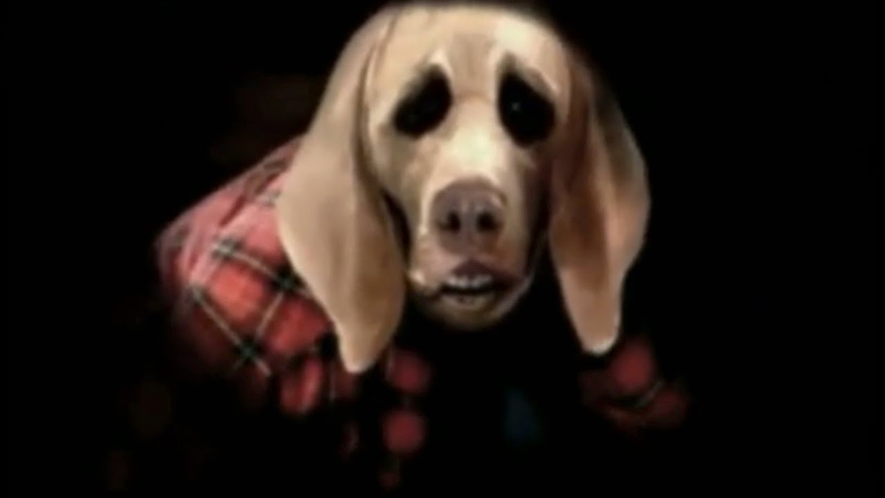 Distressing YouTube Channels 5