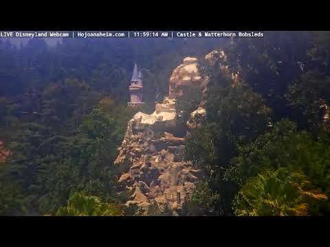 Live webcam of Disneyland Cam