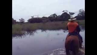 preview picture of video 'Pantanal Brazil horse riding in the floods'