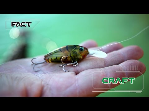 Vobler EverGreen Craft 4.7cm 6.5g Skeleton Chart F