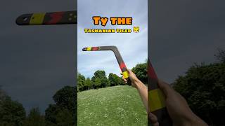 Ty the Tasmanian Tiger Boomerang!