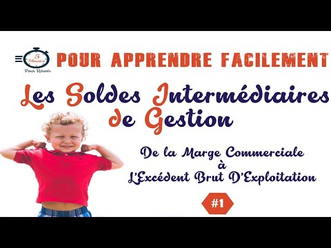 1- Les Soldes Intermédiaires de Gestion SIG - la Marge Commerciale à l'EBE