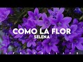 Selena - Como La Flor (Live From Selena:The Last Concert Letra/Lyrics)
