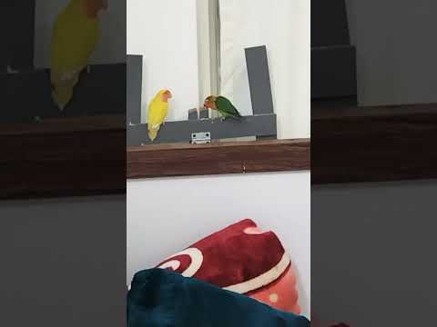 ۳۰ اوت ۲۰۲۴