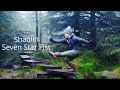 Shaolin Seven Star Fist (Qi Xing Quan) - Practice
