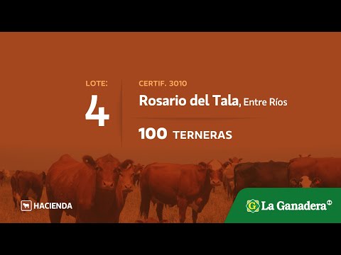 Lote Terneras en Rosario del Tala