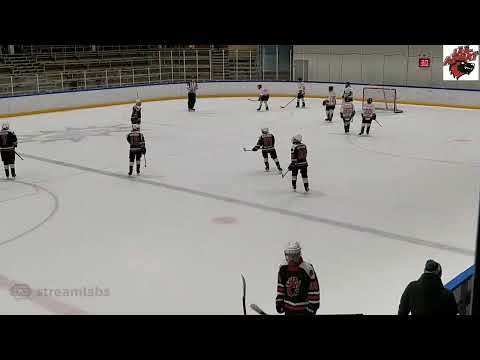 Jää-Ahmat White - KJT/Haukat Red