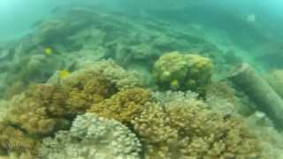 preview picture of video 'Million Dollar Point Vanuatu Dive: GoPro Hero2 Ship Wreck Dive: Espirtu Santo, Vanuatu'