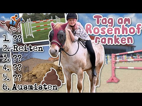 1 Tag FERIEN auf meinem Bauernhof 🐴 | ViktoriaSarina