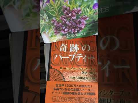 庭園のデザイン: 芳香のあるハーブのスパイラルを独自に作成します。  庭園