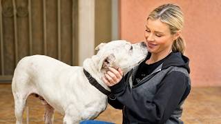 She Saves the Pets People Can’t Afford to Lose