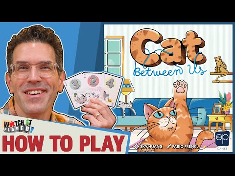 Cat Between Us - YouTube Video