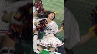 #shorts 《プロ野球 チアリーダー》アジアプロ野球チャンピオンシップ　ヤクルトスワローズ Passion   APBC2023   東京ドーム 日本優勝　勝利の女神　④《BraveTV》