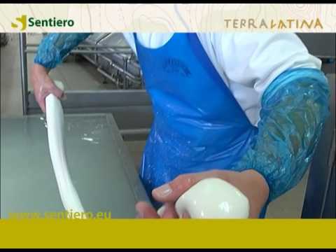 Terra Latina - Cuomo