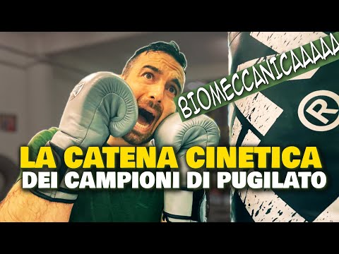 La Catena Cinetica dei Campioni di Pugilato - DEFINITIVO - aggiornato al 2022