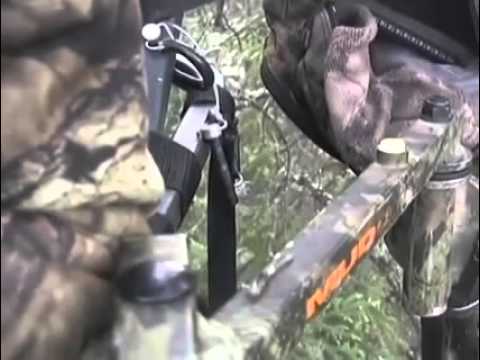 Bear Races Up Tree to Be Face to Face with Hunter