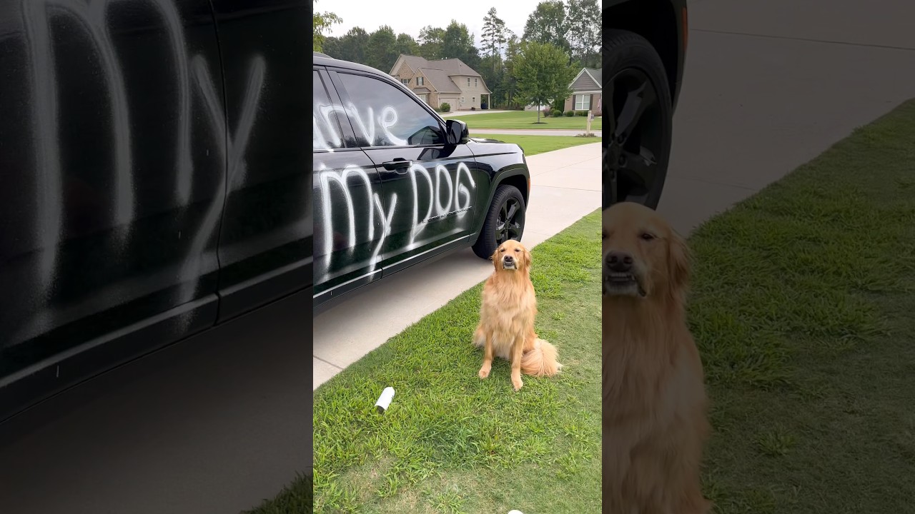 Teddy took his new diet personally!