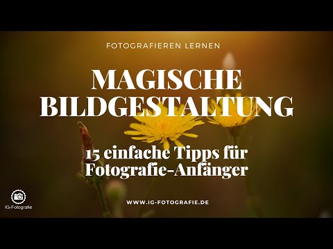 Fotografieren lernen: 15 super einfache Tricks für deine Bildgestaltung