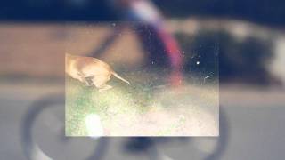 Toro Y Moi - Talamak