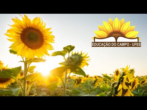 Não vou sair do campo - Gilvan Santos