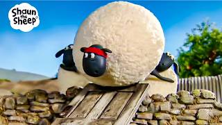 Download lagu SHIRLEY'S BIG AND FLUFFY ADVENTURES ππβ¨ | Shaun the Sheep & Friends mp3 Download lagu SHIRLEY'S BIG AND FLUFFY ADVENTURES ππβ¨ | Shaun the Sheep & Friends mp3