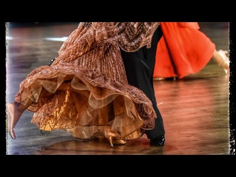 Quickstep Viti Ecchia Star Championship