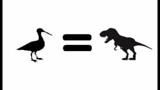 Birds Are Dinosaurs - Crows Are Geniuses