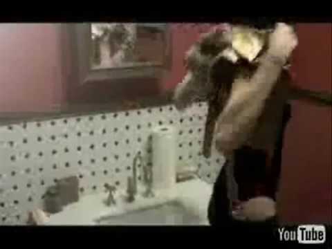 tulatu SATURDAYS DISCO CALCINAIA