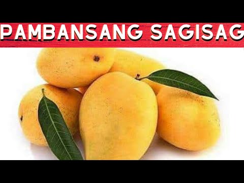 Mawalan ng timbang sa gym para sa mga kalalakihan Turpentayn kung paano mangayayat