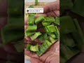 Prickly Pear Recipe For Diabetes Diabetes Recipe Holistic Health Lifestyle Naturopathic Diet